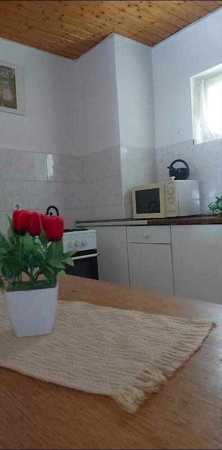 Panoráma Vendégház Badacsonytomaj Esterno foto