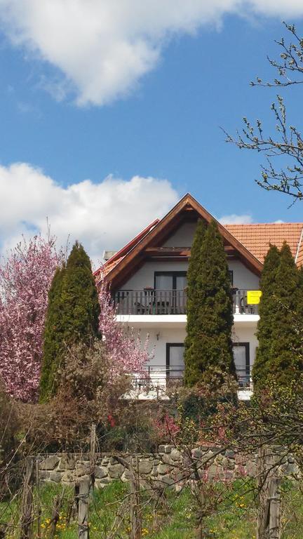 Panoráma Vendégház Badacsonytomaj Esterno foto